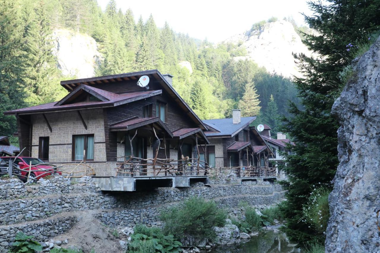 Horlog Castle Otel Trigrad Dış mekan fotoğraf