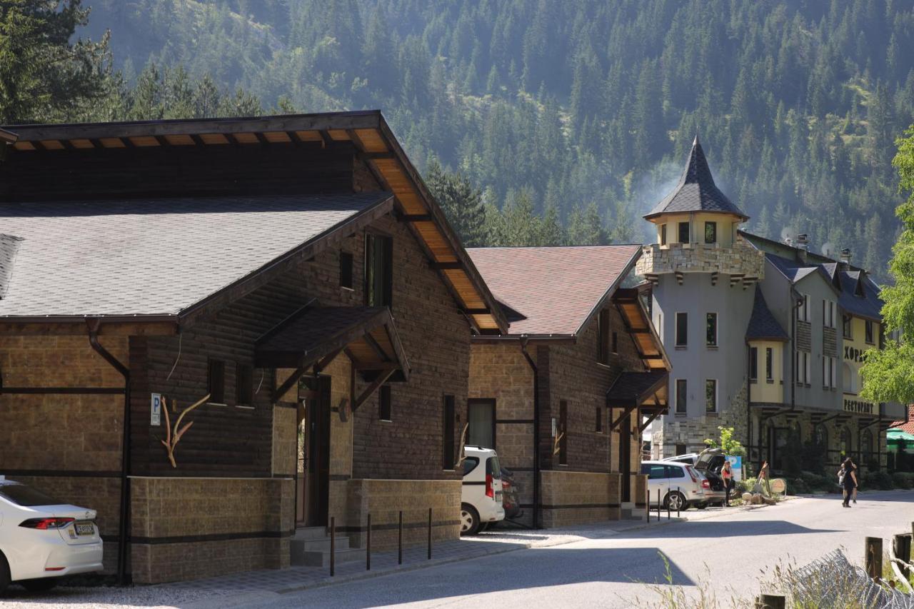 Horlog Castle Otel Trigrad Dış mekan fotoğraf