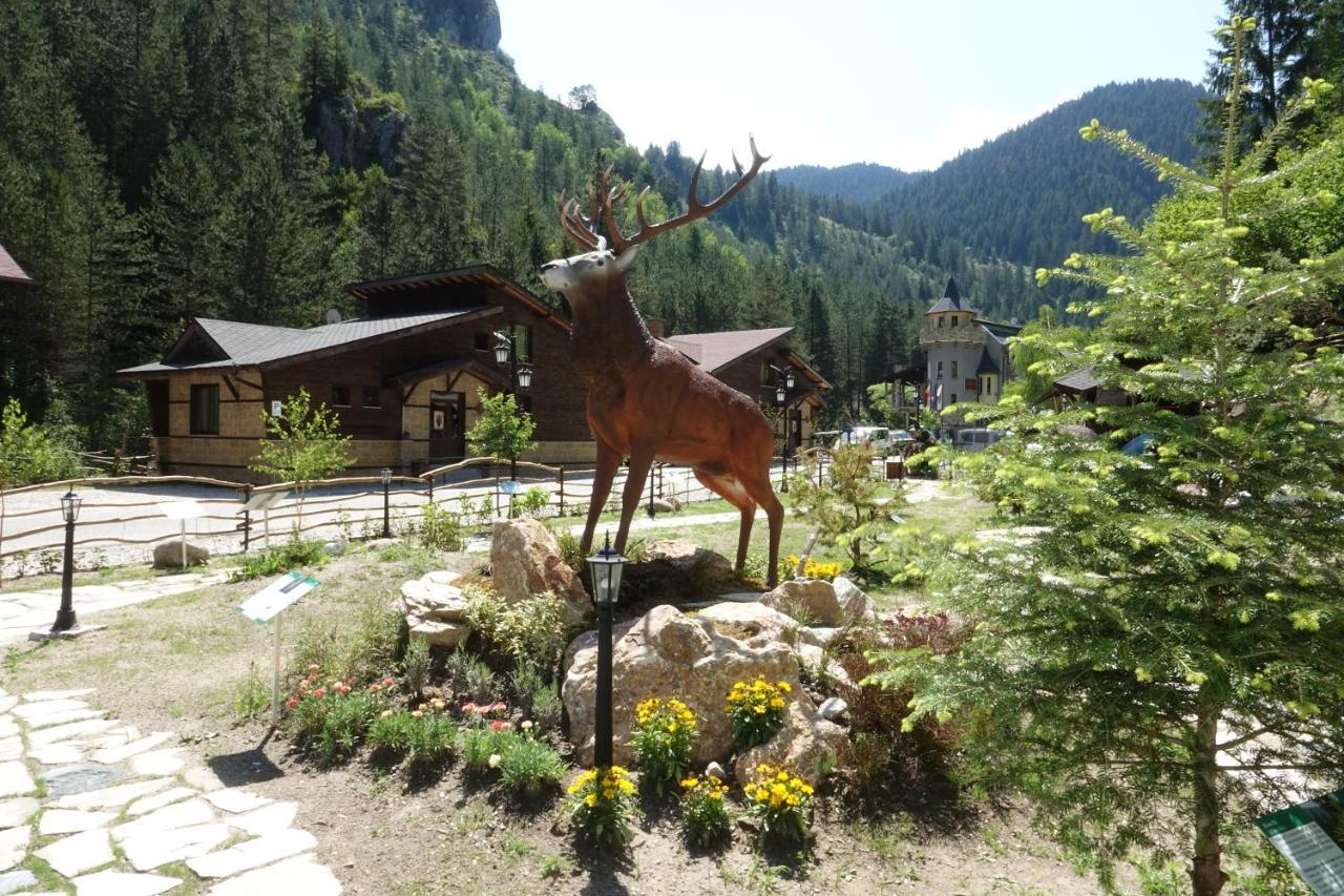 Horlog Castle Otel Trigrad Dış mekan fotoğraf