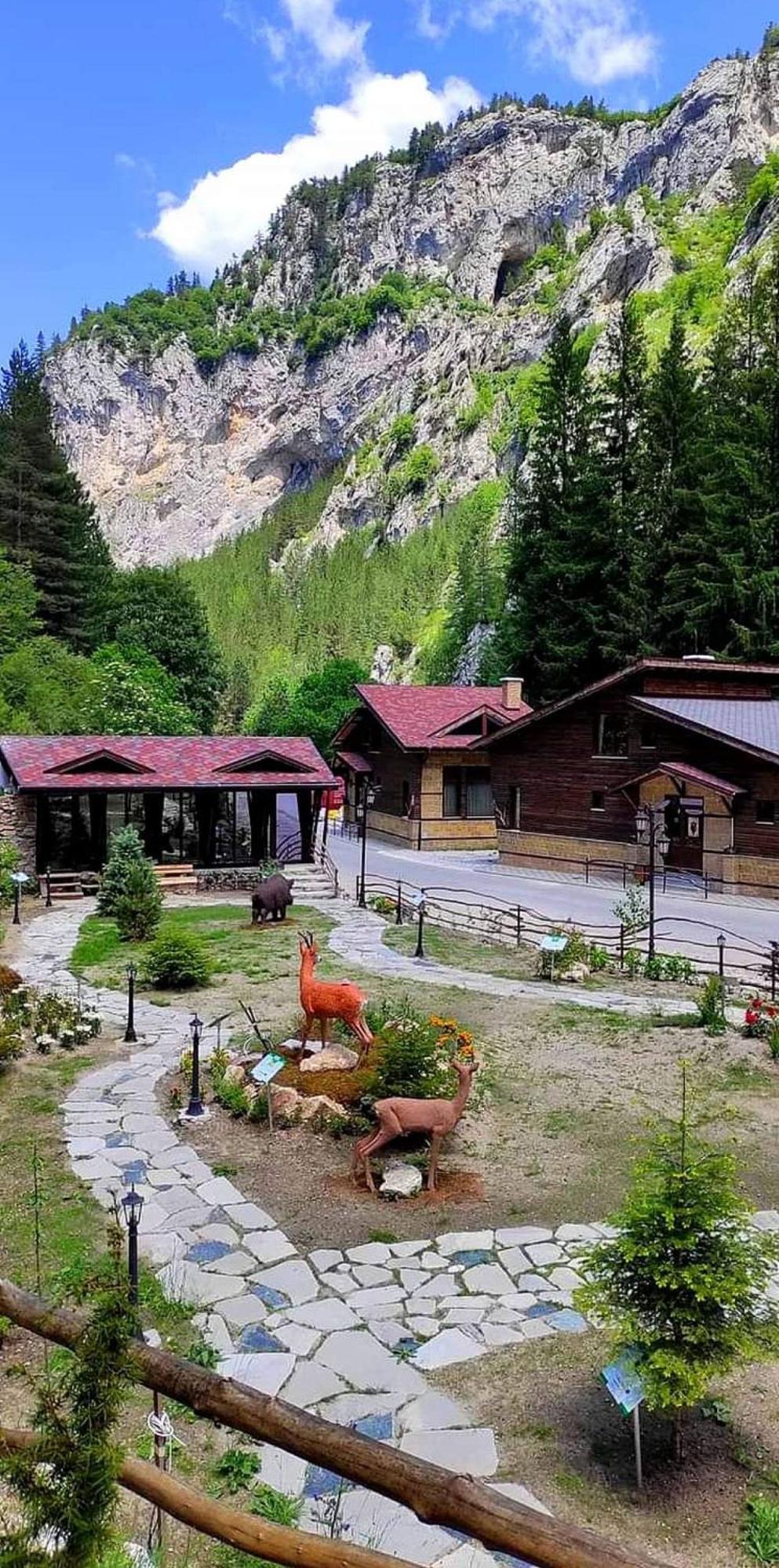 Horlog Castle Otel Trigrad Dış mekan fotoğraf