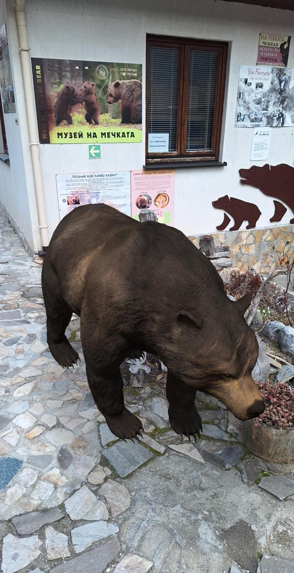 Horlog Castle Otel Trigrad Dış mekan fotoğraf